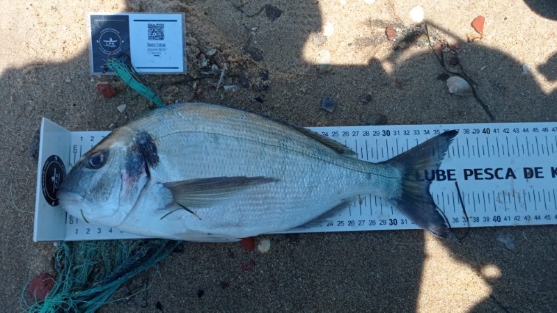 Fish Measure Picture